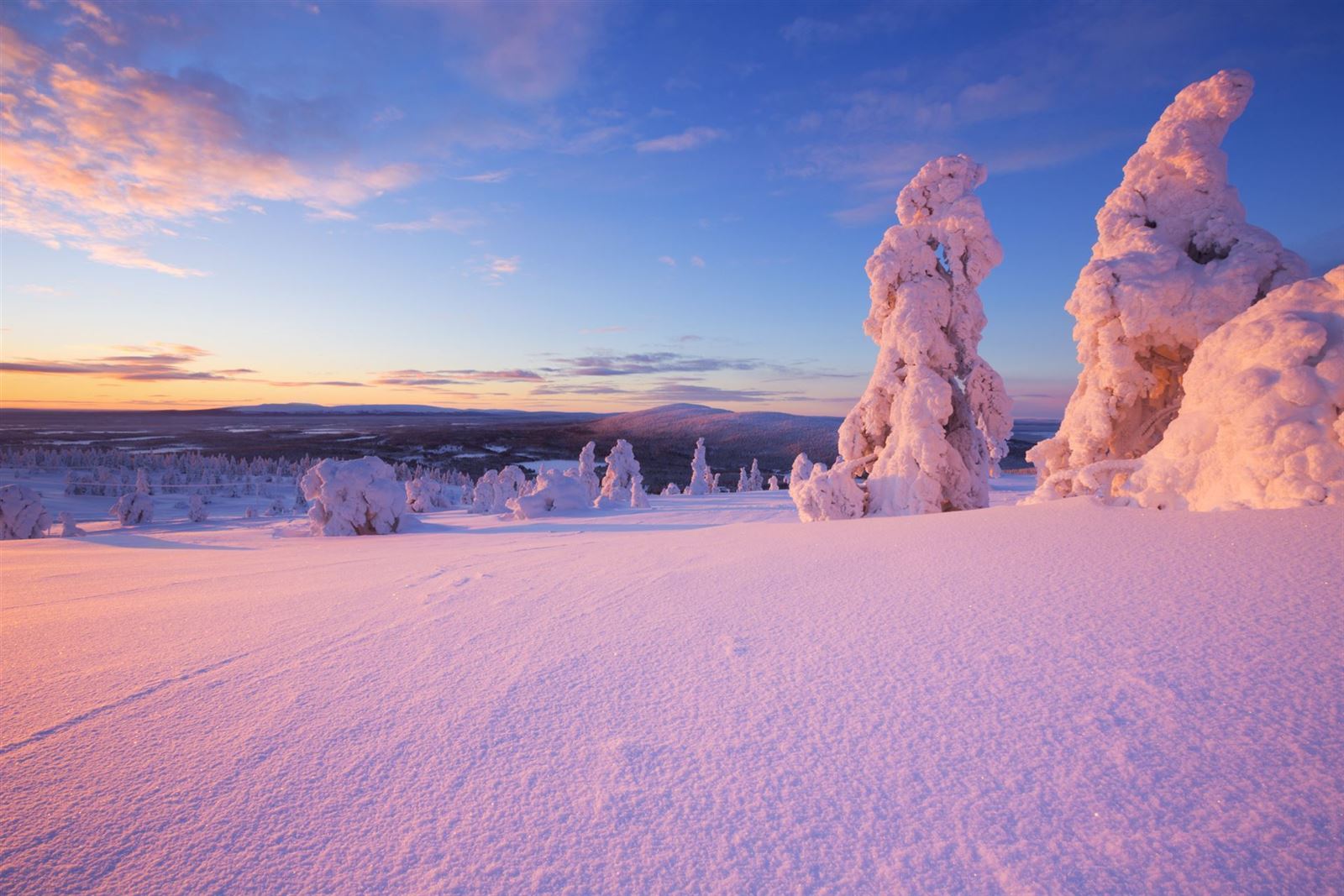 Winterlandschaft